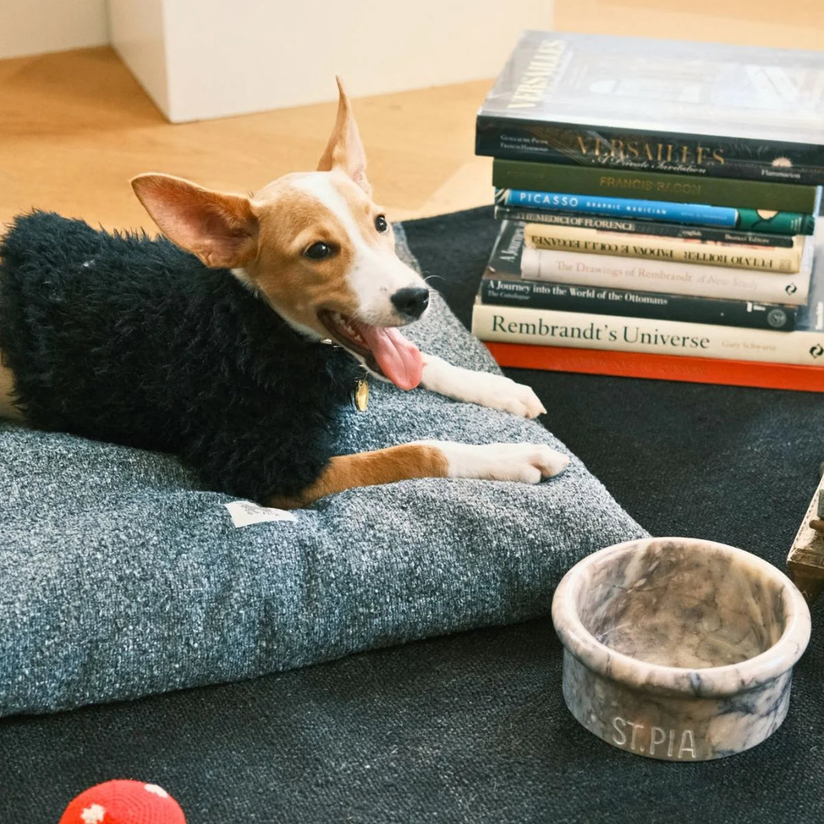 Akide Cat + Dog Bed