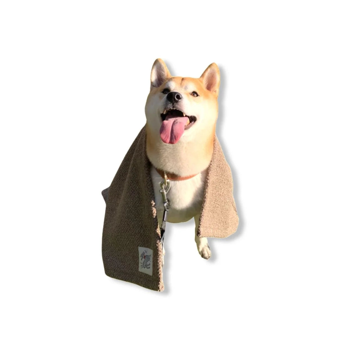 Sandy Cat + Dog Blanket