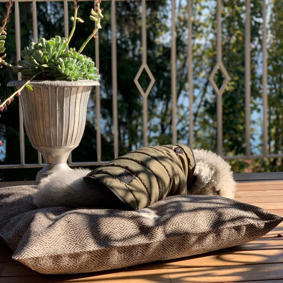 Akide Cat + Dog Bed
