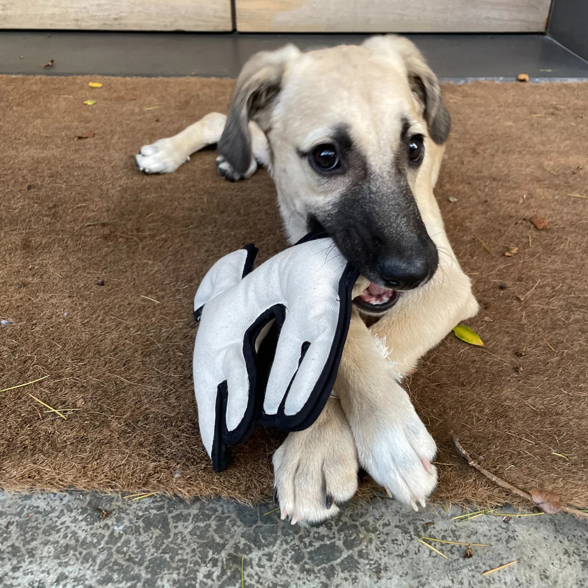 Spirit Animal Handmade Cat + Dog Toy