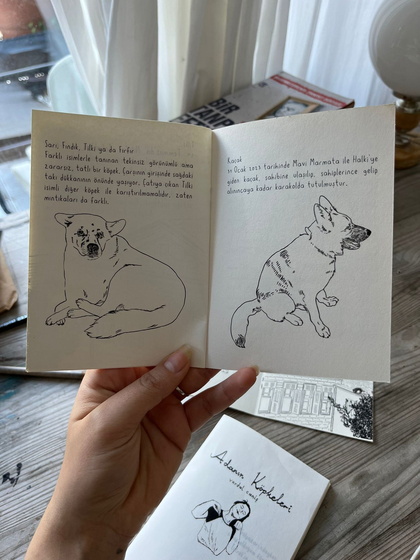 DOGS OF THE ISLAND