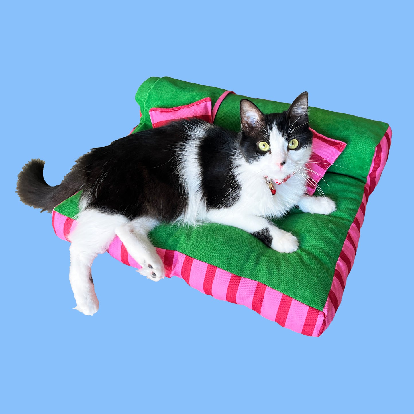 Potpot Pet Yatağı - Yeşil/Pembe