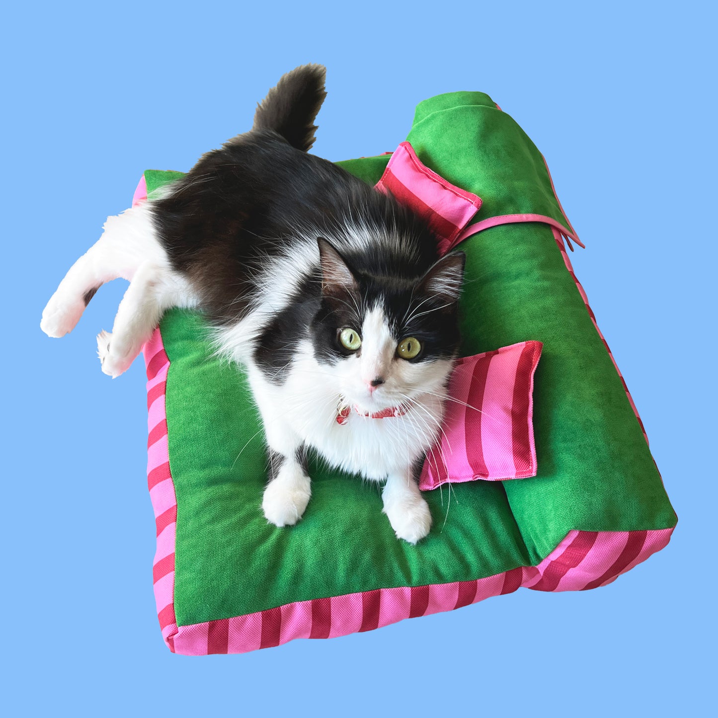Potpot Pet Yatağı - Yeşil/Pembe