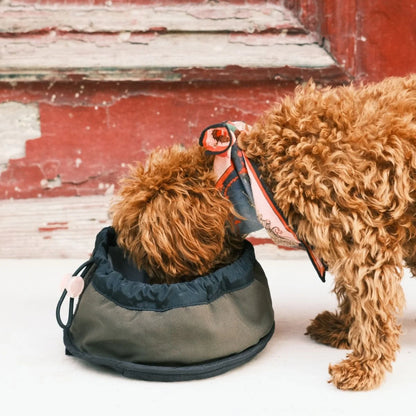 Pita-On-The-Go Collapsible Cat + Dog Food Bowl