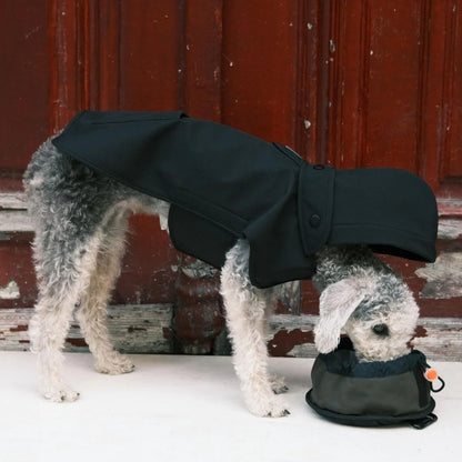 Pita-On-The-Go Collapsible Cat + Dog Food Bowl