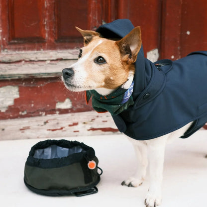 Pita-On-The-Go Collapsible Cat + Dog Food Bowl