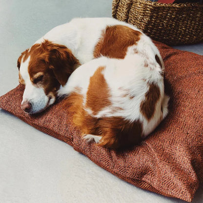Akide Cat + Dog Bed 