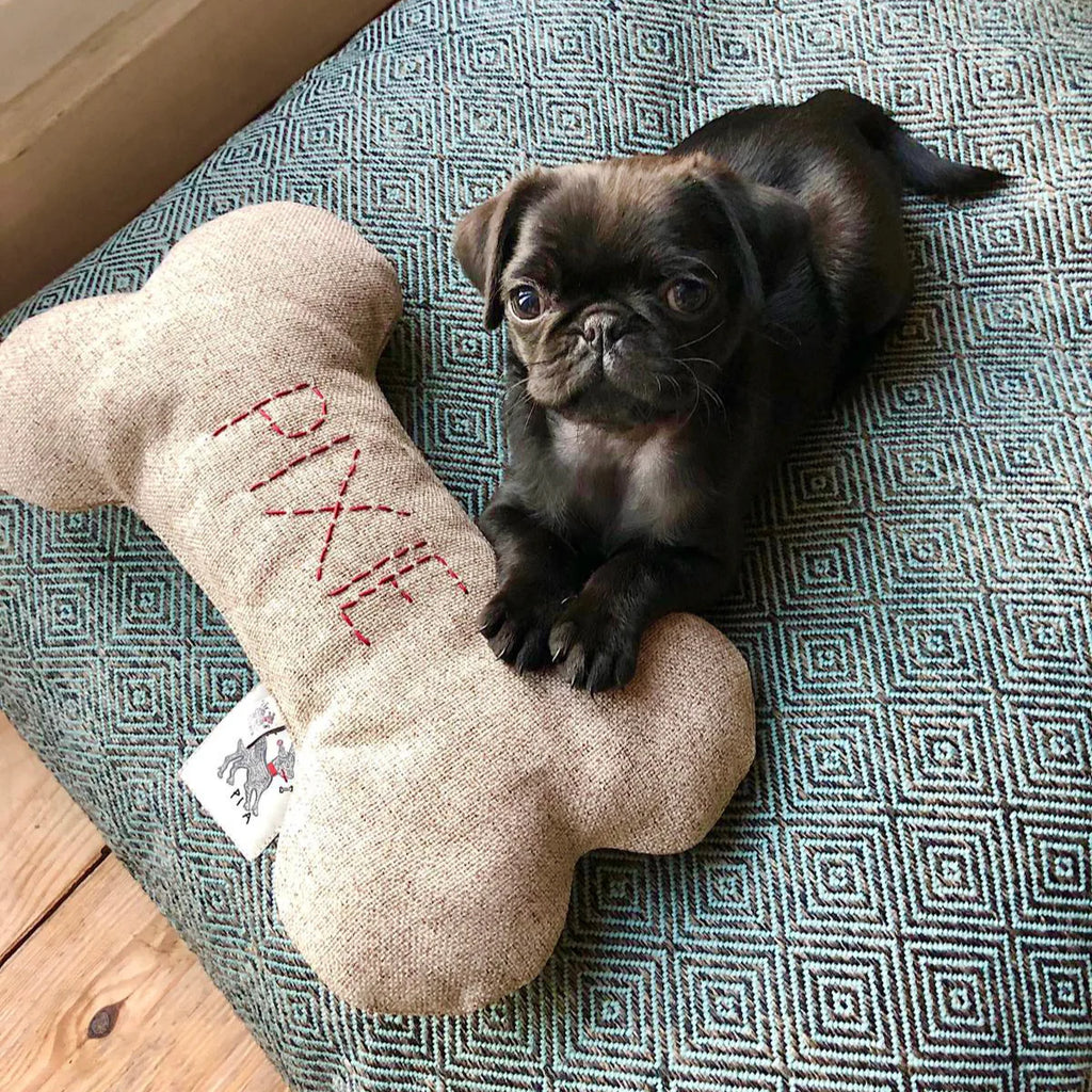 Akide Kedi + Köpek Yatağı