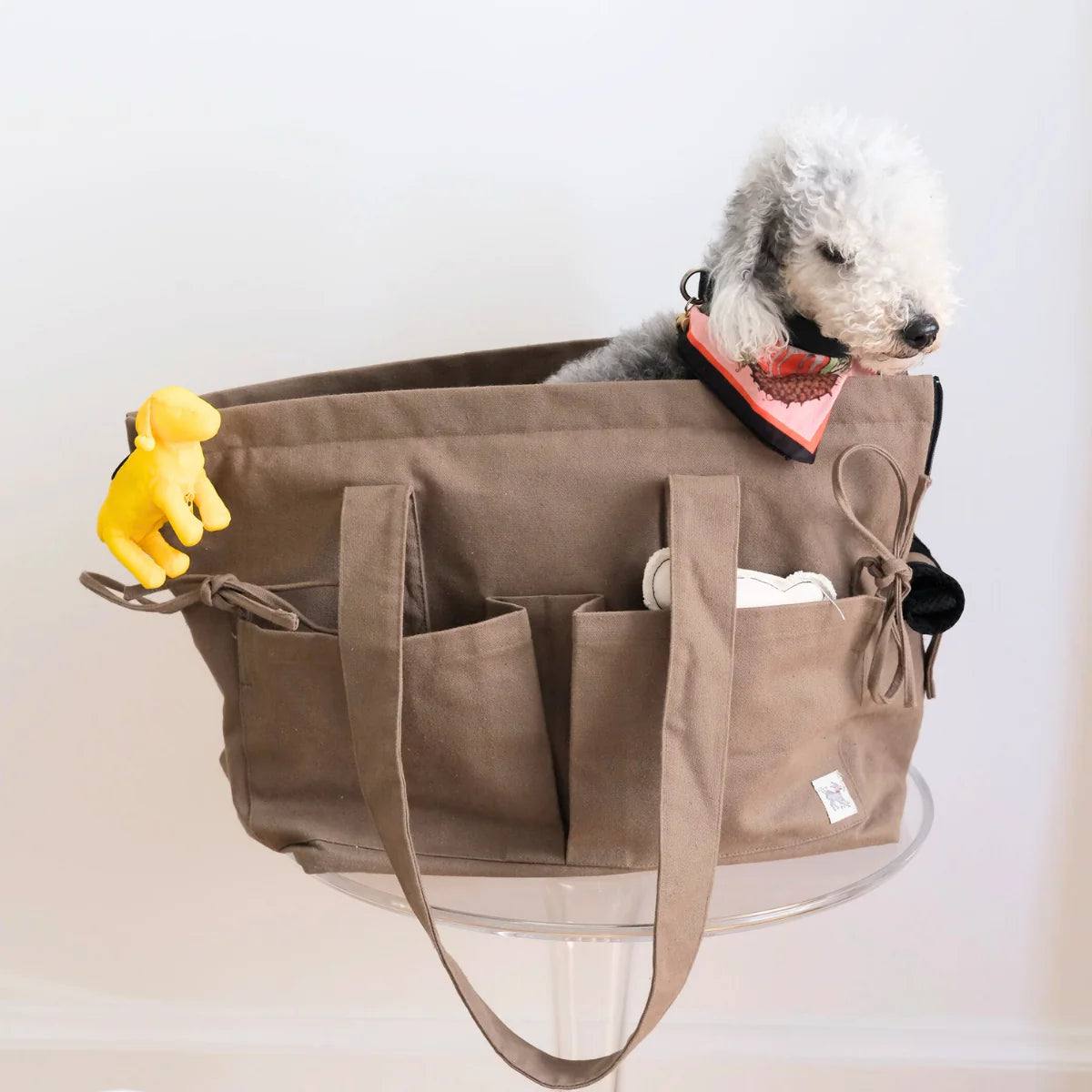 Marsu Köpek Taşıma Çantası