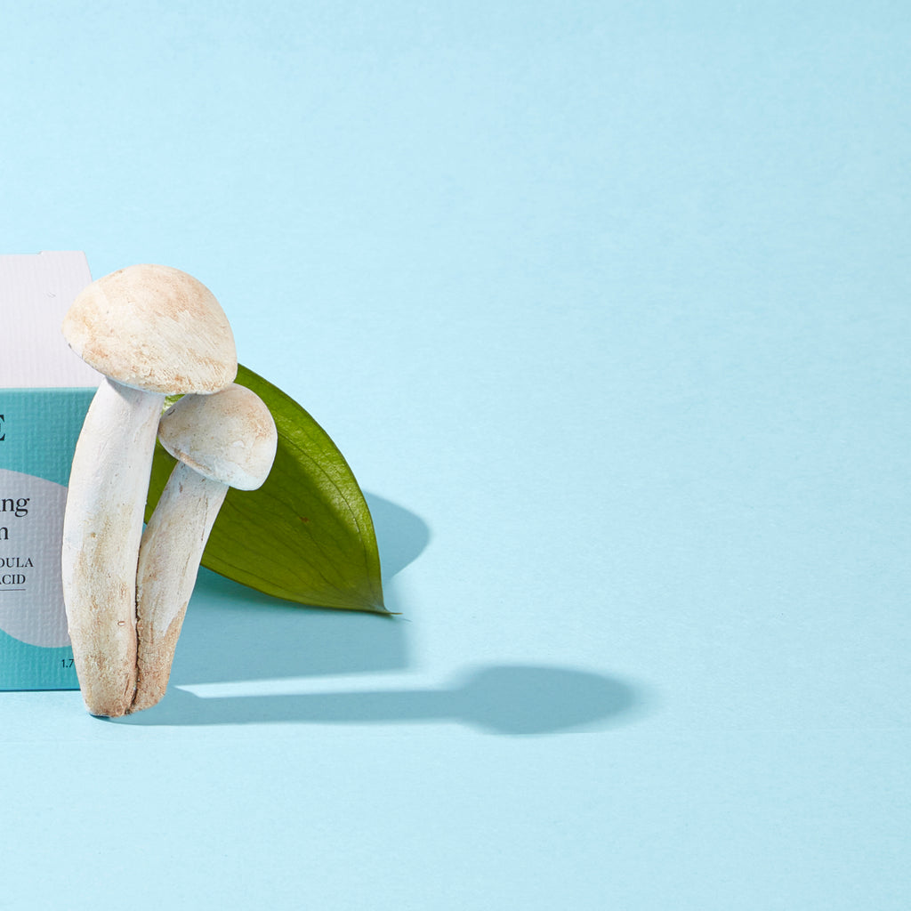 SUPERFOOD REPAIRING OVERNIGHT CREAM - ADAPTOGENE SOOTHING REPAIRING CREAM