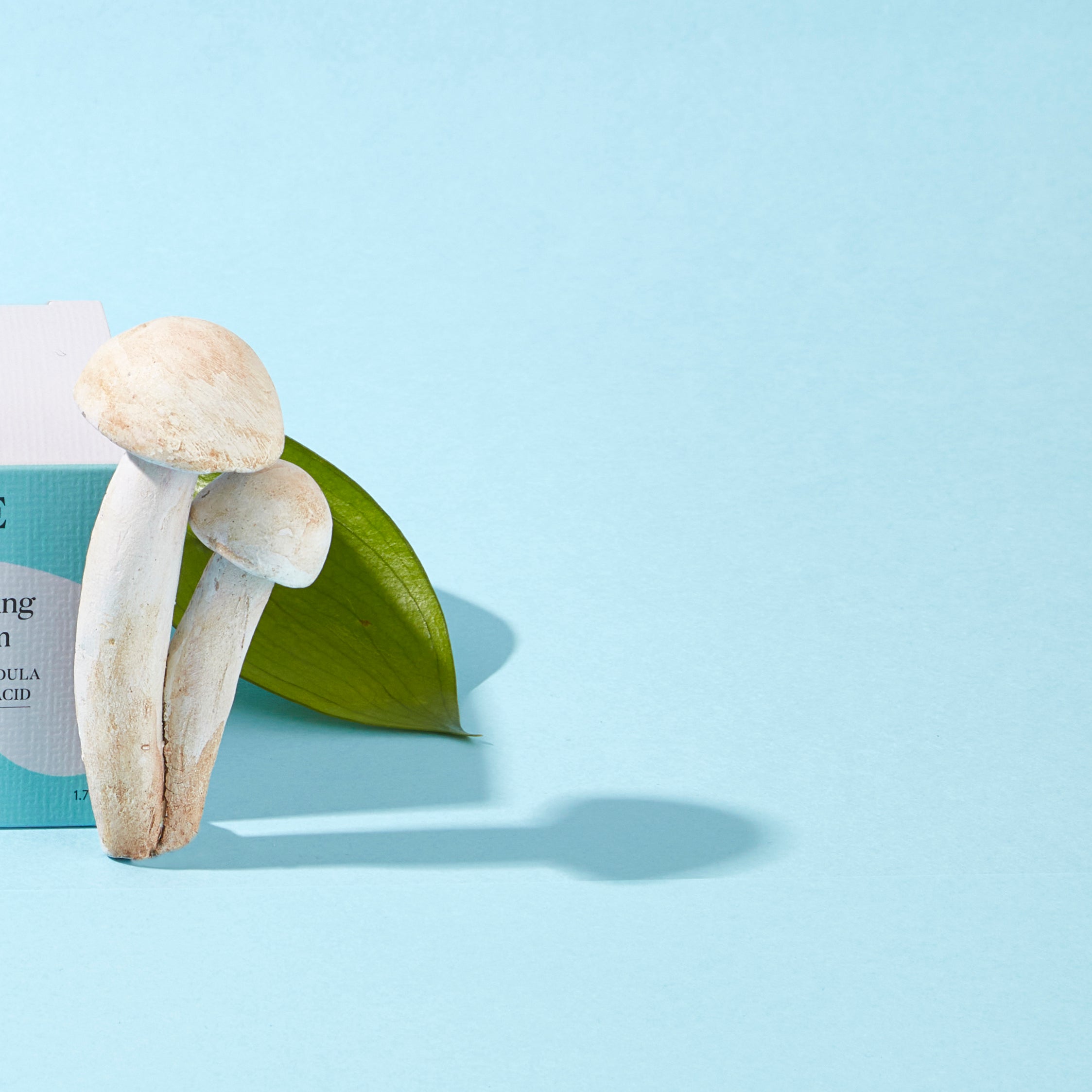 SUPERFOOD REPAIRING OVERNIGHT CREAM - ADAPTOGENE SOOTHING REPAIRING CREAM