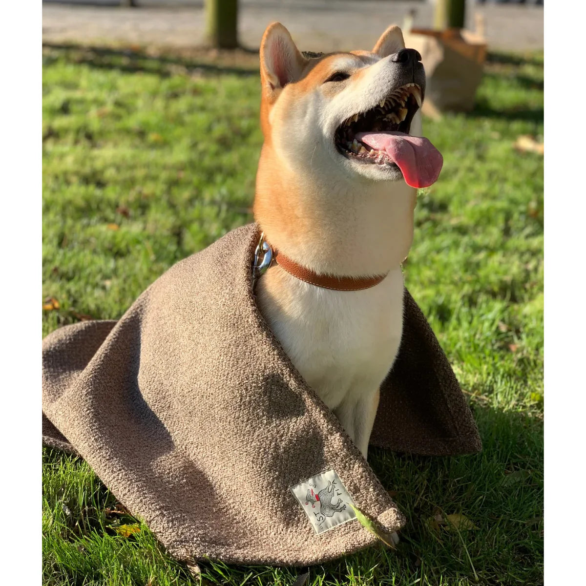 Sandy Cat + Dog Blanket