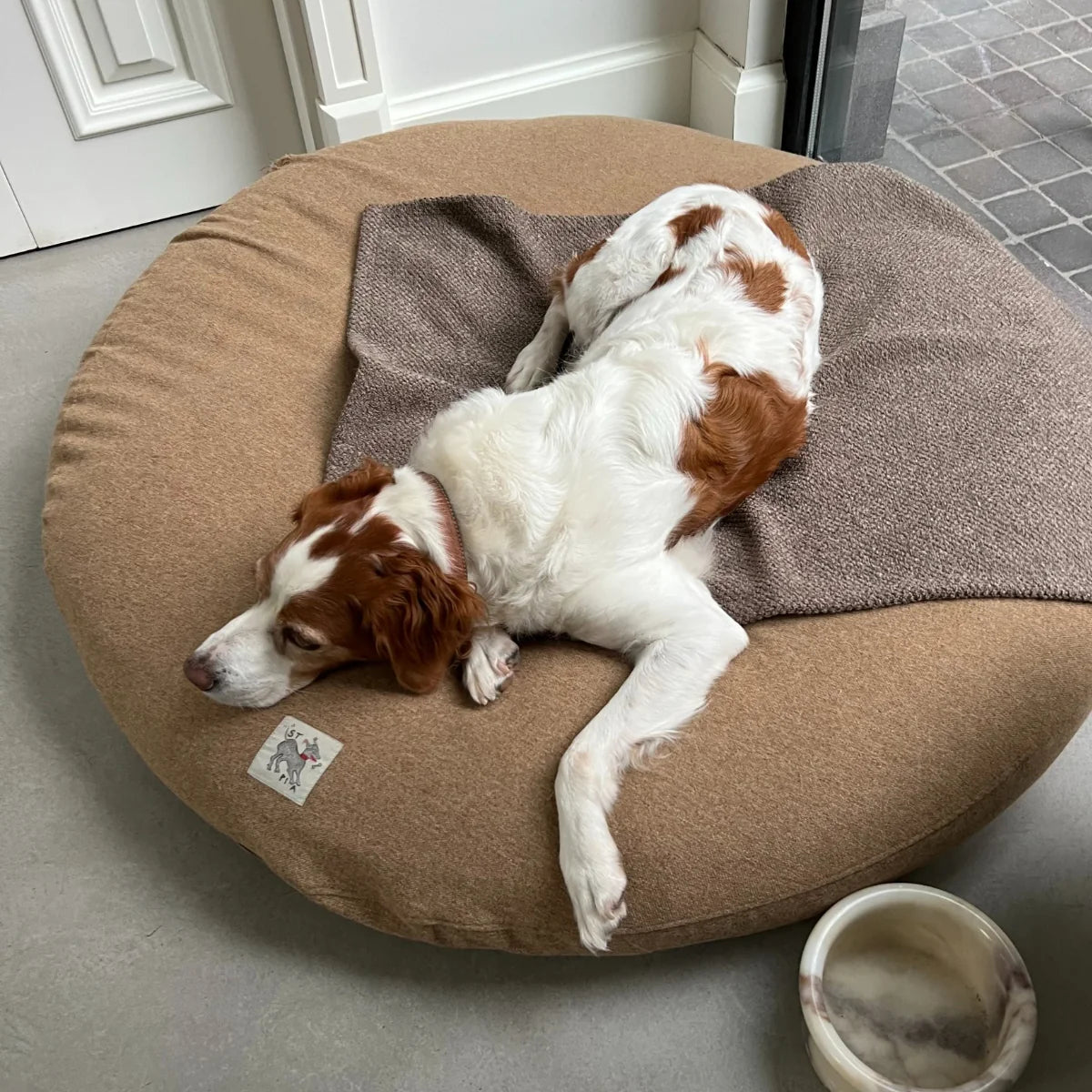 Sandy Cat + Dog Blanket