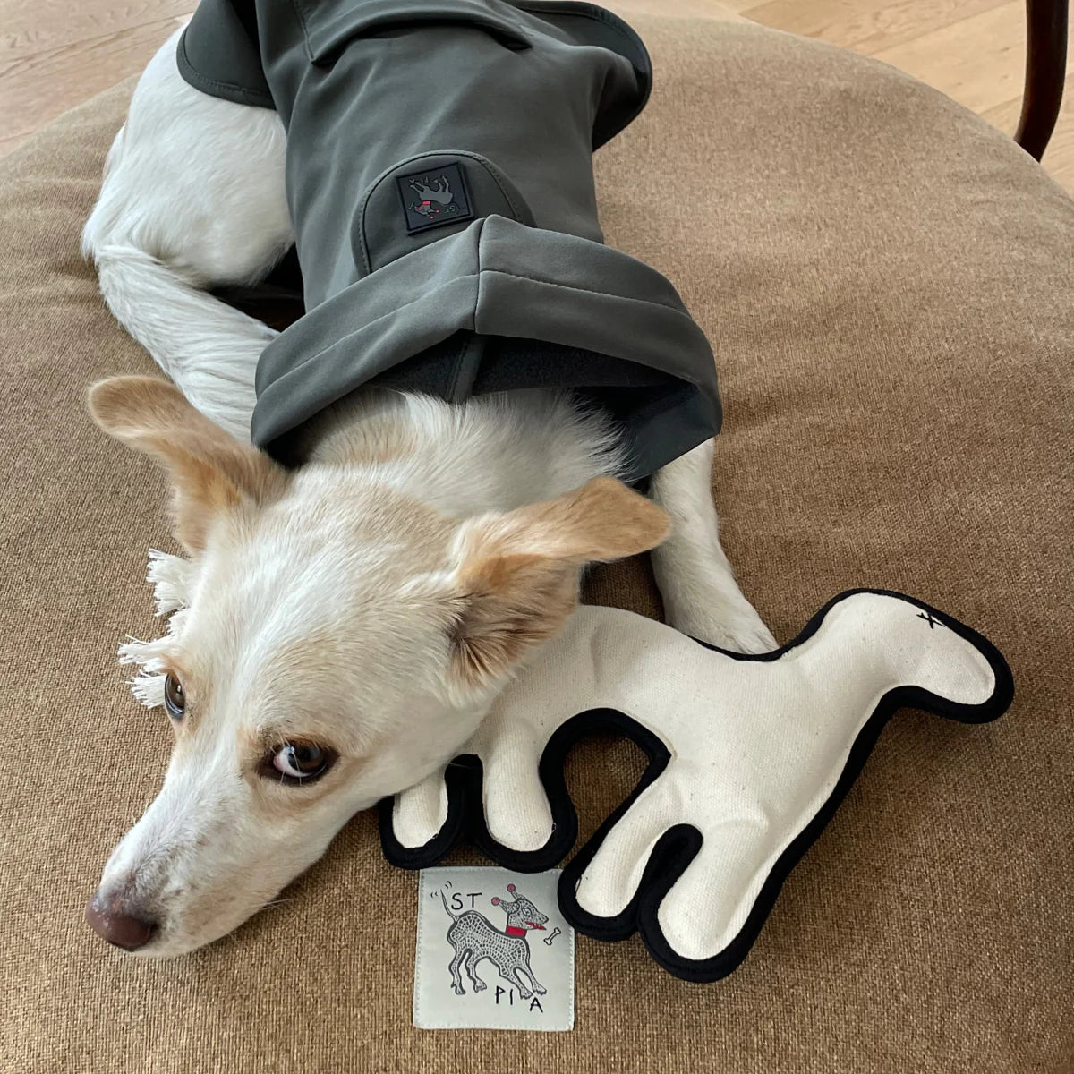 Spirit Animal El Yapimi Kedi + Köpek Oyuncağı