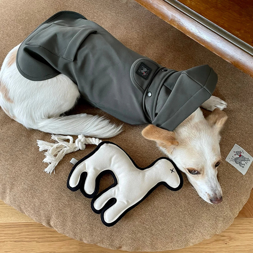 Spirit Animal El Yapimi Kedi + Köpek Oyuncağı
