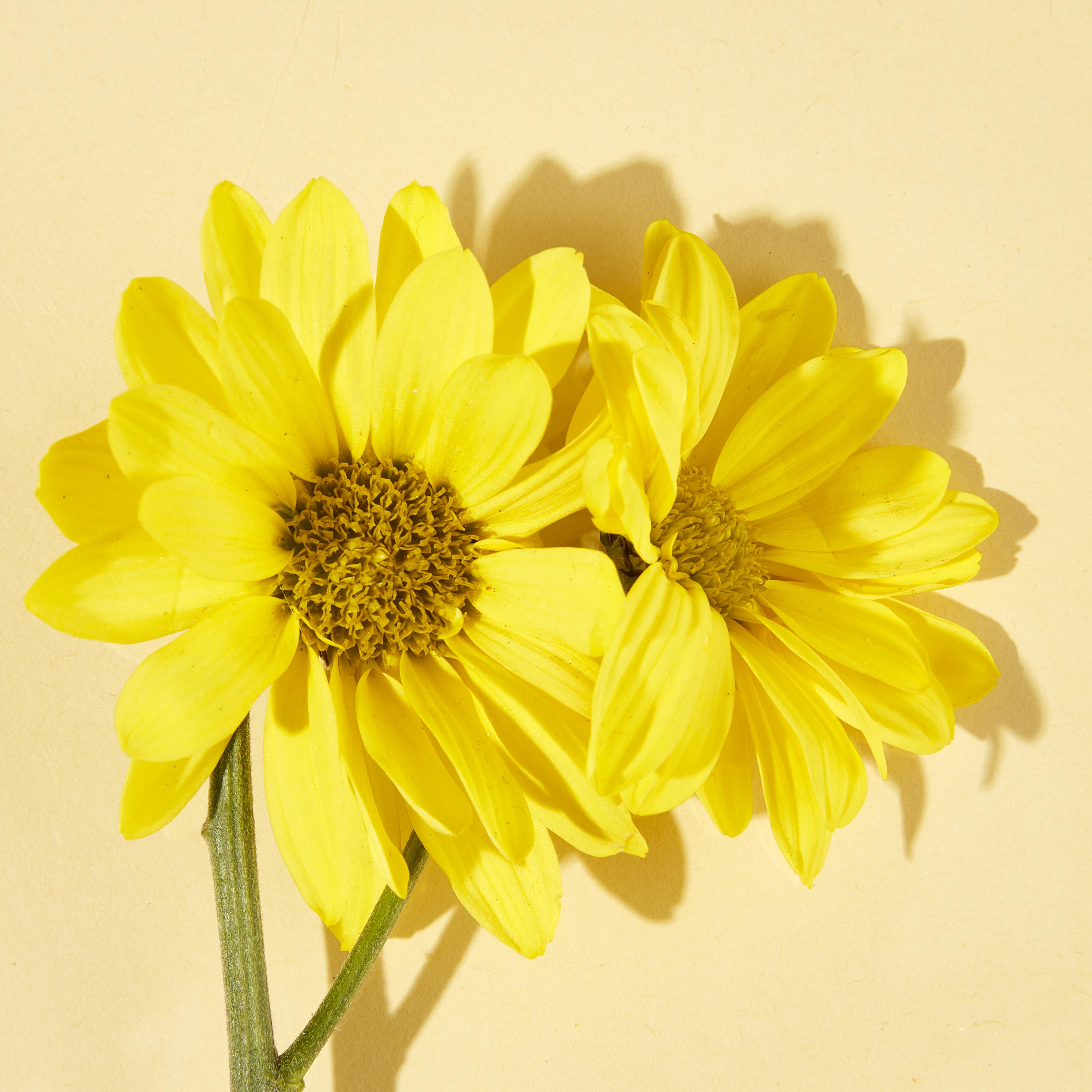 SPICY ALMOND DRY OIL - MULTI-PURPOSE DRY OIL CONTAINING SWEET ALMOND OIL